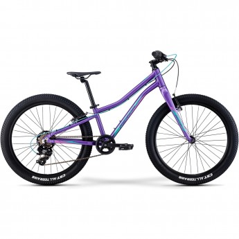 Велосипед '22 MERIDA MATTS J.24+ ECO Рама:One Size DarkPurple/PalePinkTeal